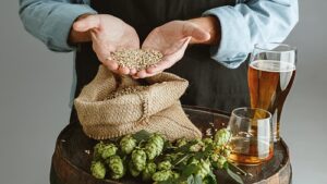Barley beer benefits and side effects