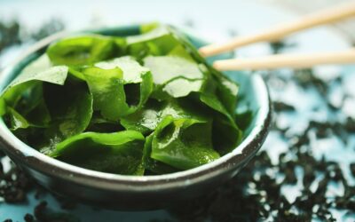 The Benefits Of Seaweed