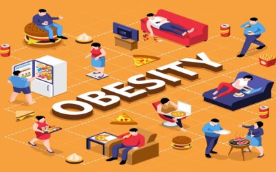 7 Main Causes Of Obesity And Overweight