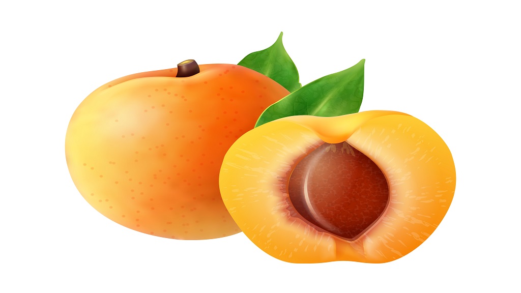 What Are The Benefits Of Apricots
